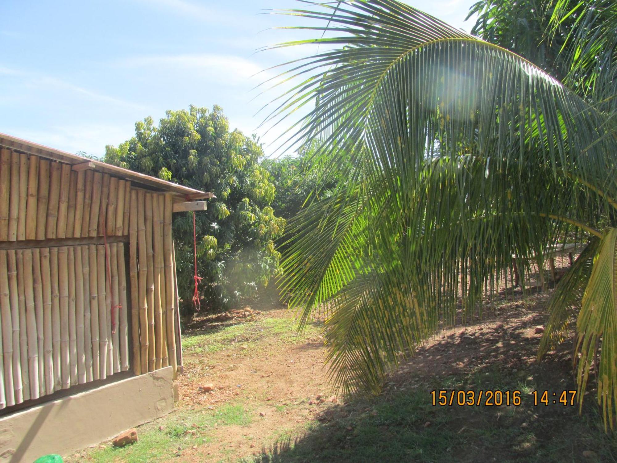 Jamaica Inn Guest House Botianaw Экстерьер фото